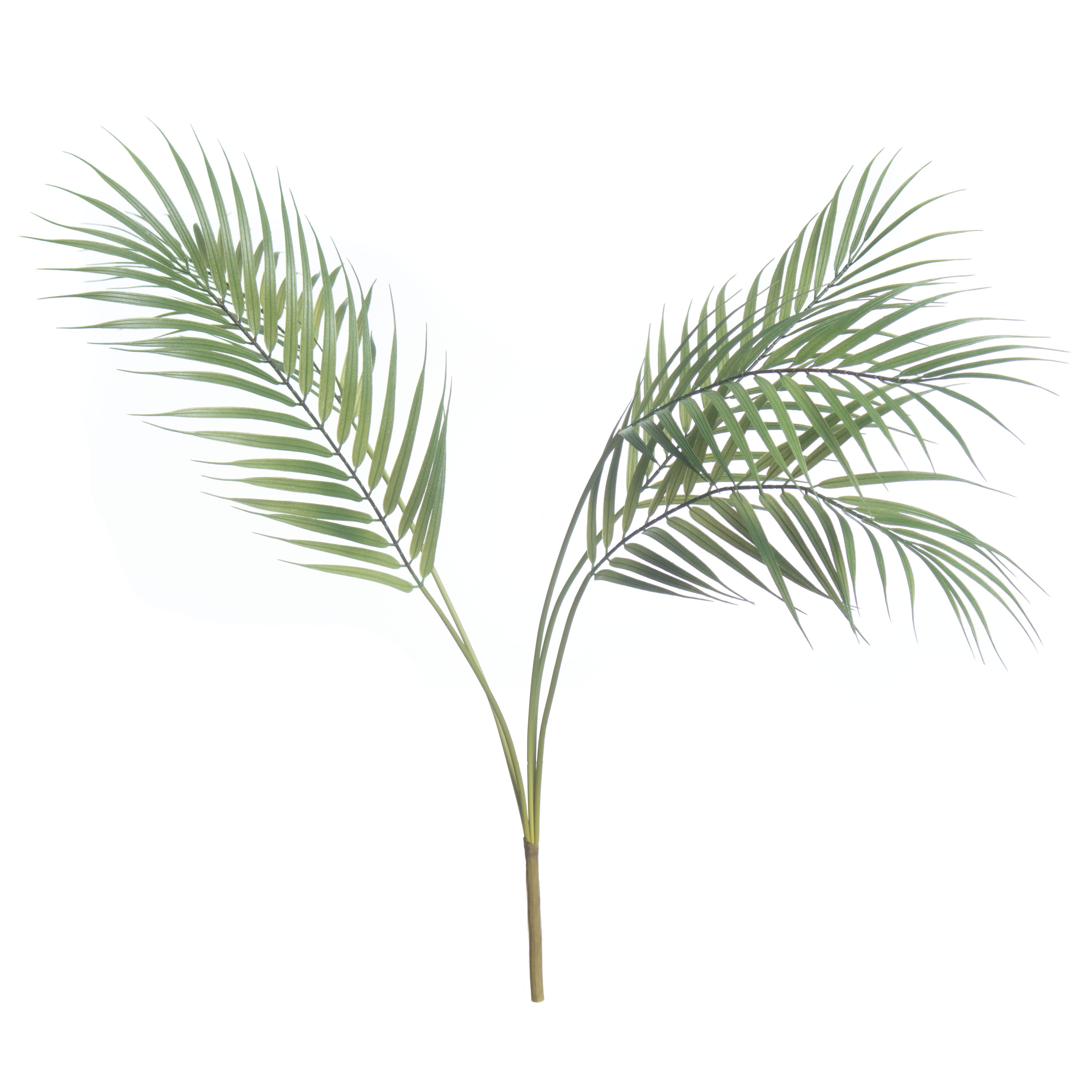 30" Palm Bush by Ashland®