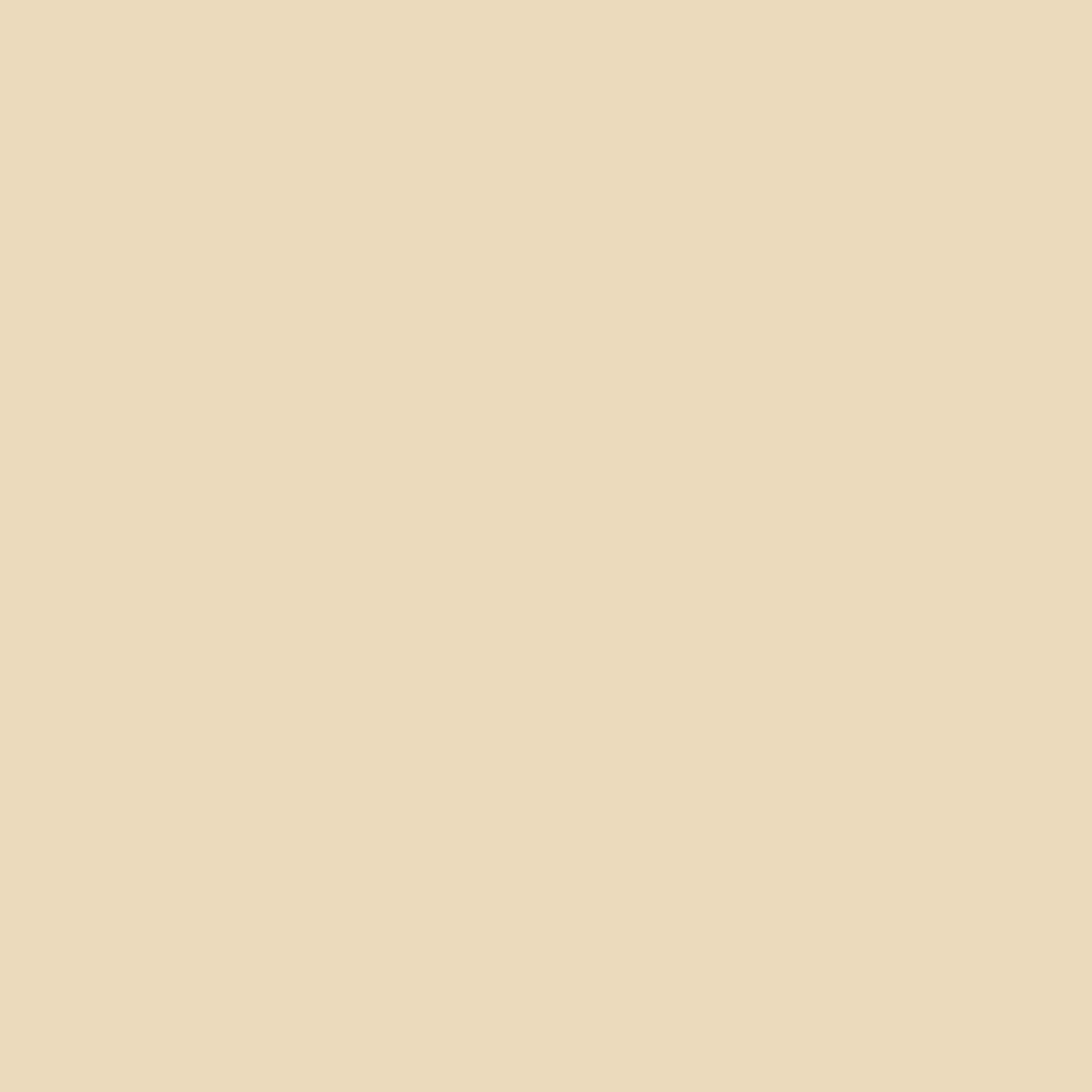 Northcott Premium Quilt Solid Sandstone Cotton Fabric