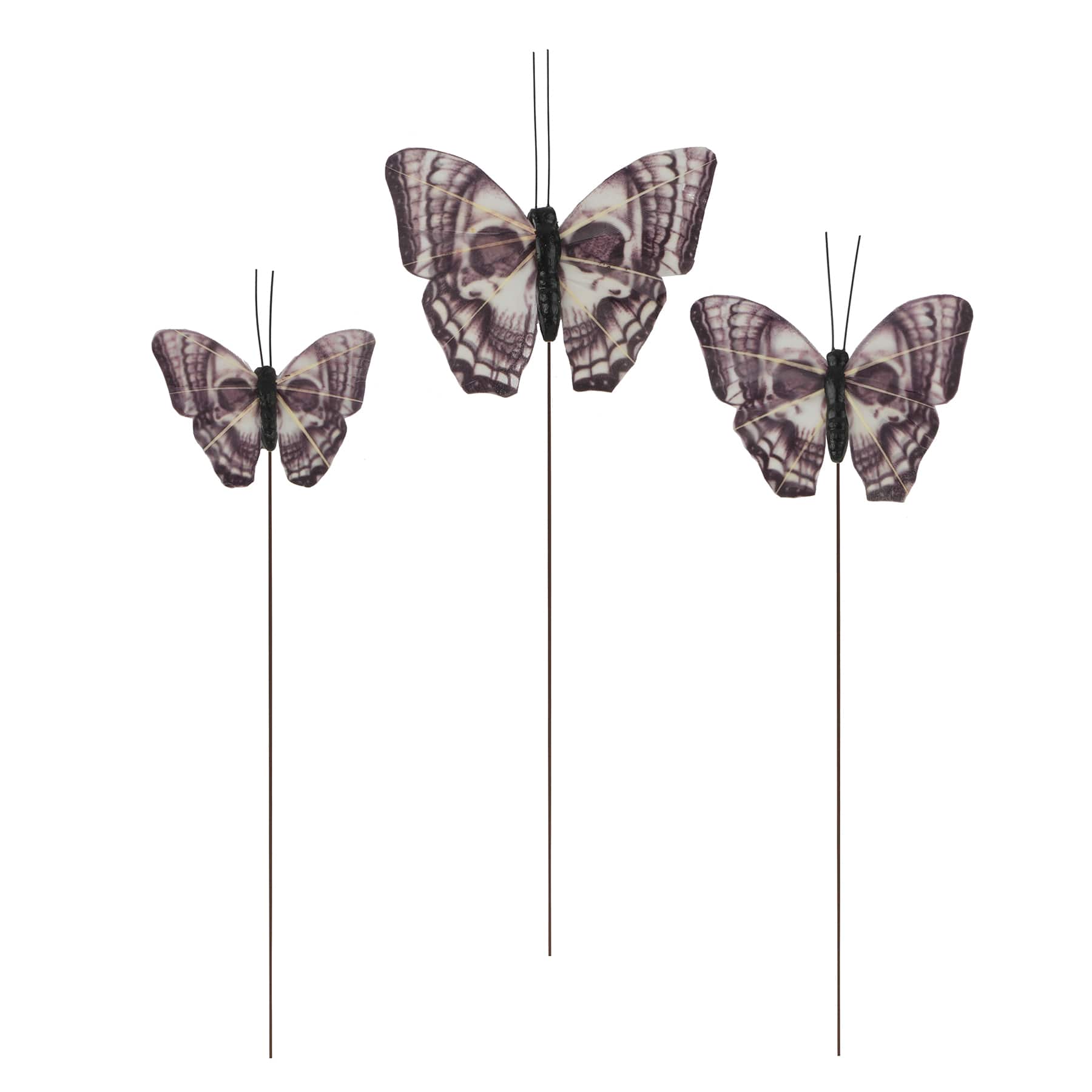 Skull Feather Butterfly, 3ct. by Ashland®