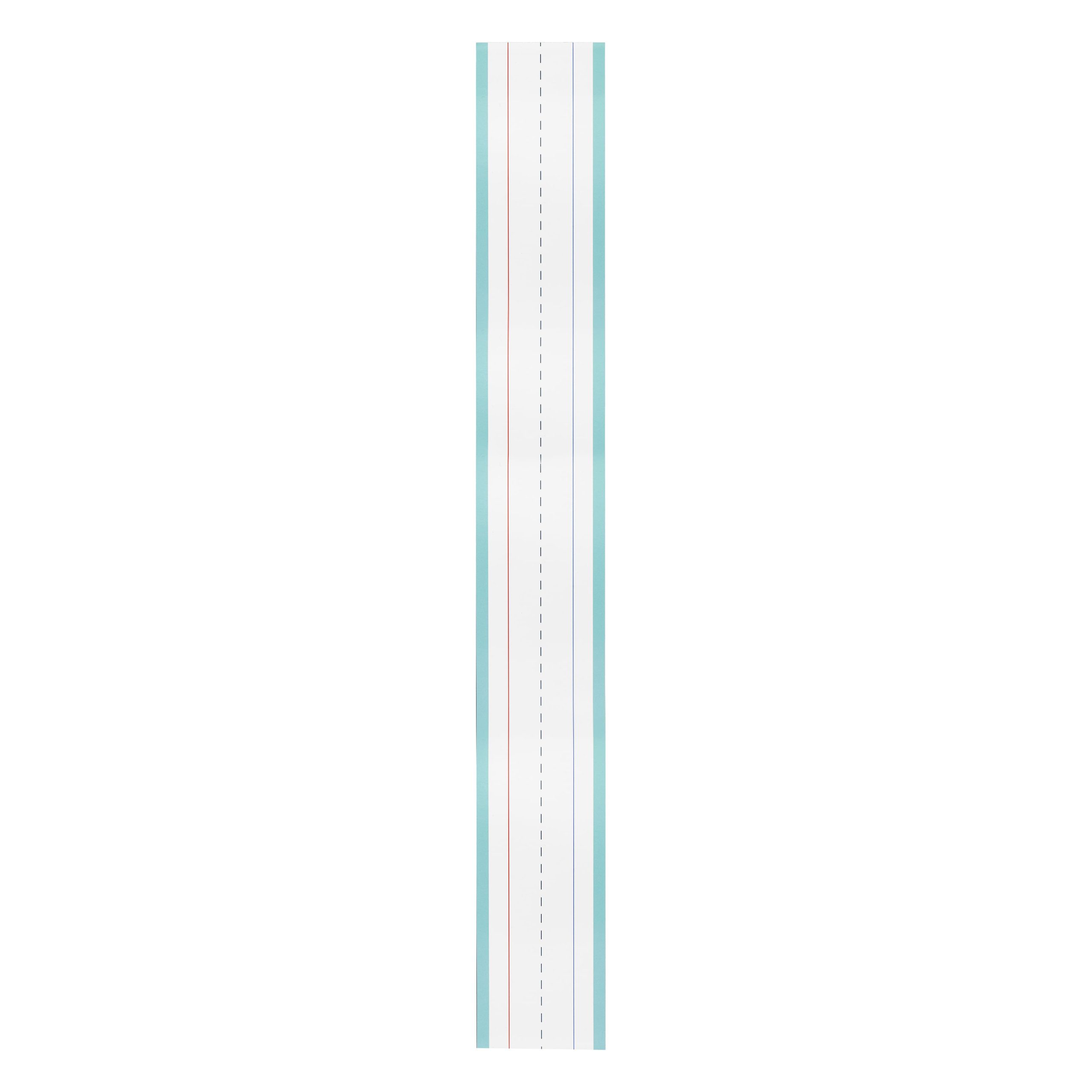 Class Rules! 23.5" Green & White Dry Erase Writing Strips, 10ct. by B2C™
