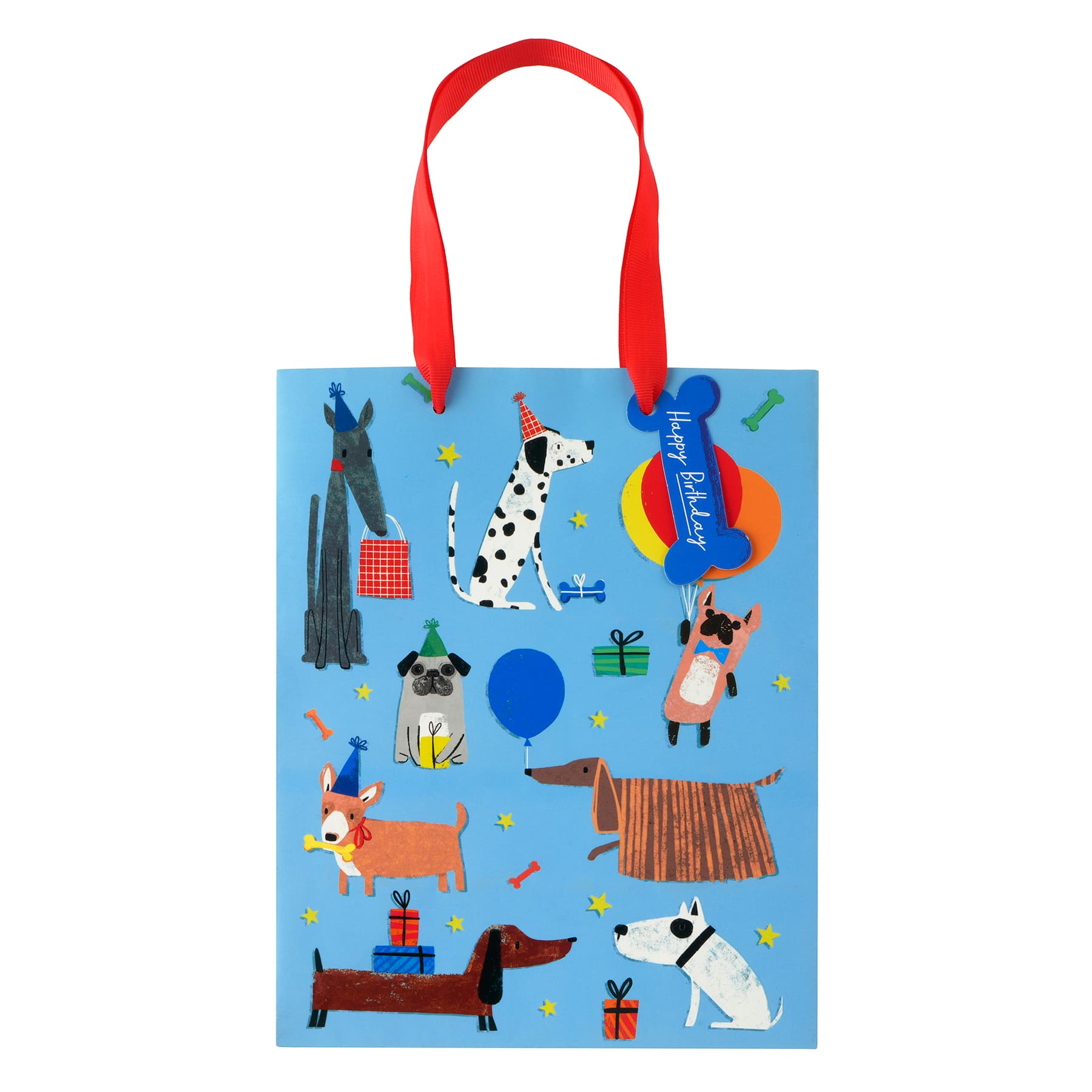Medium Party Dog Gift Bag with Ribbon Handles by Celebrate It™