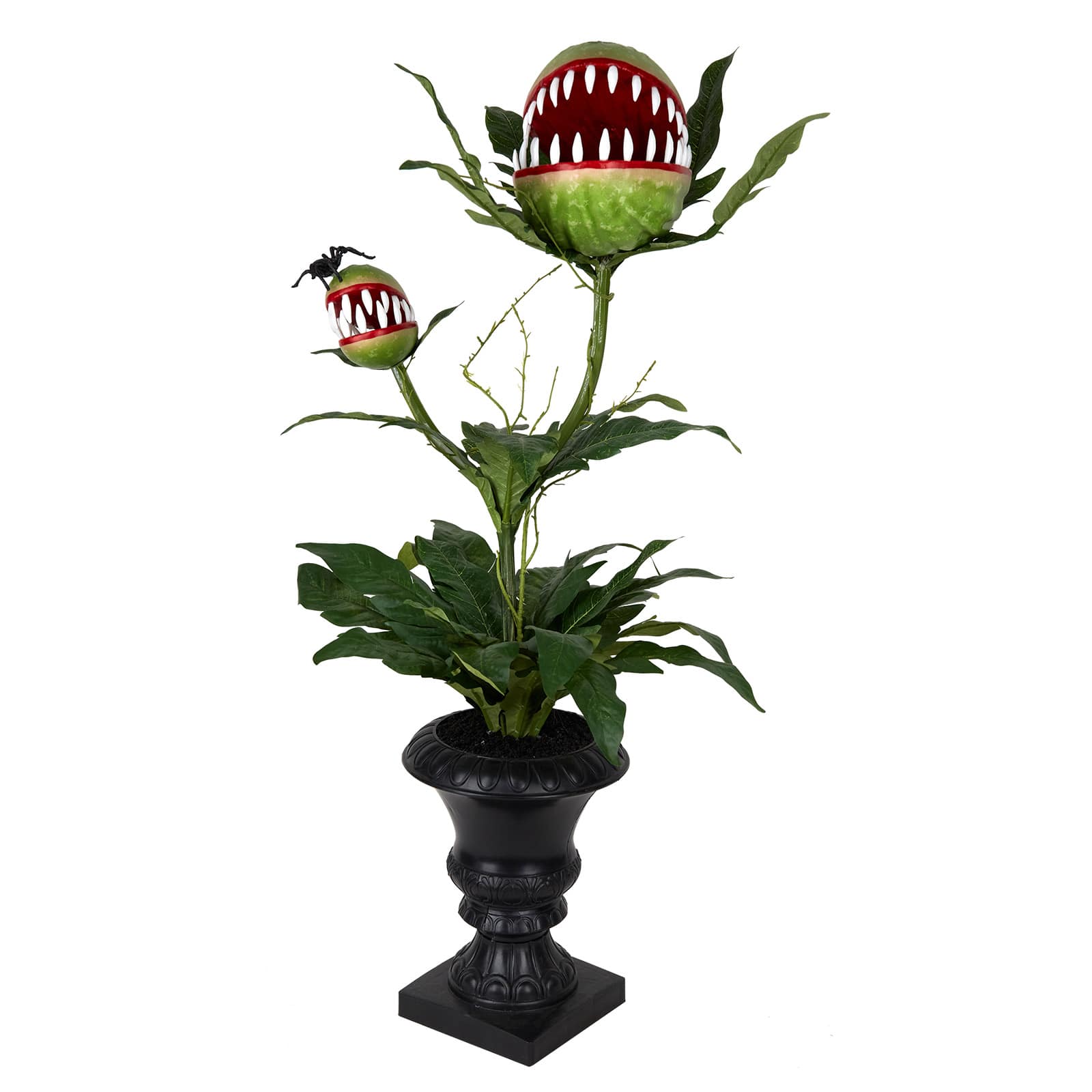 36" Potted Venus Flytrap Duo & Spider by Ashland®