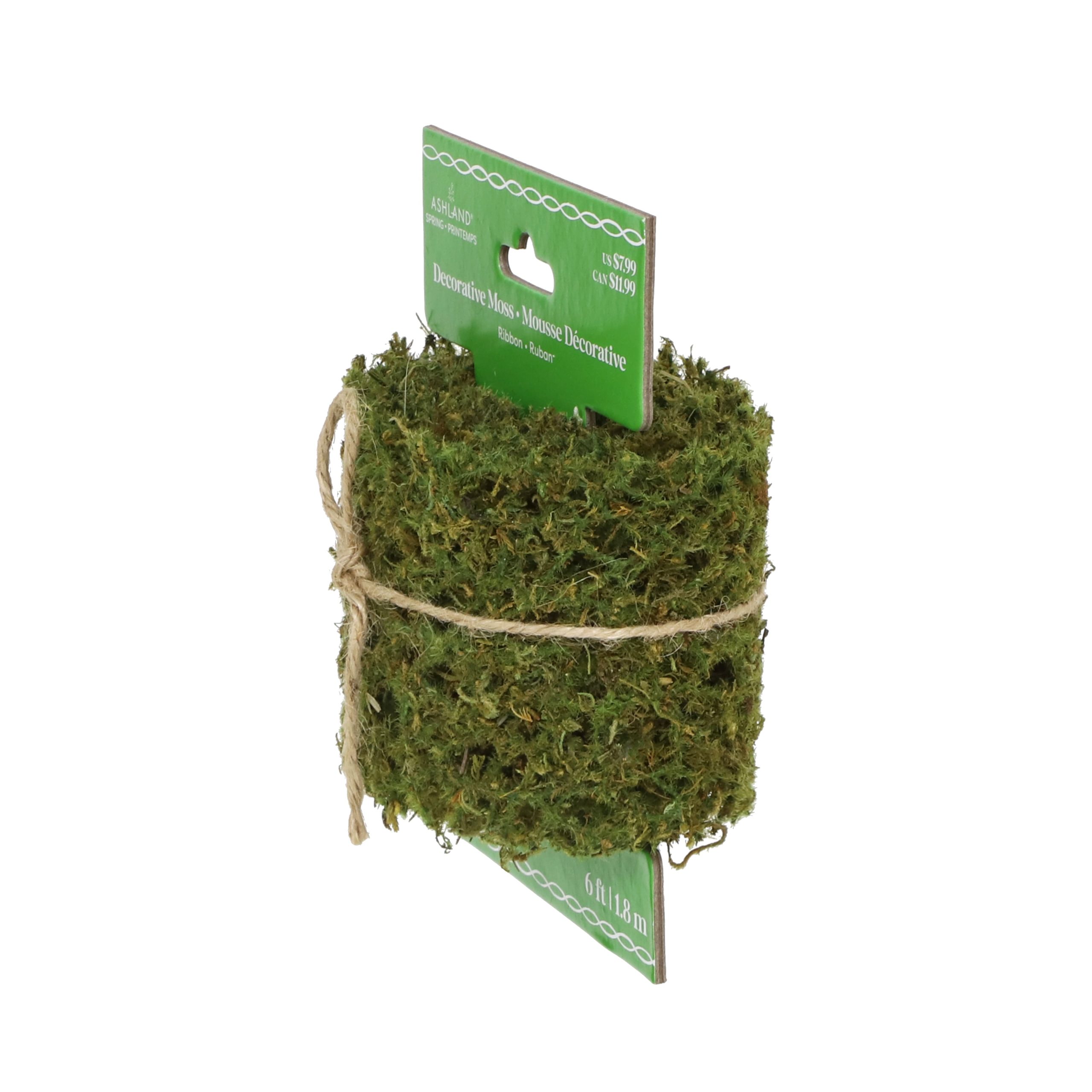 6ft. Green Decorative Moss Ribbon by Ashland® - Image 2