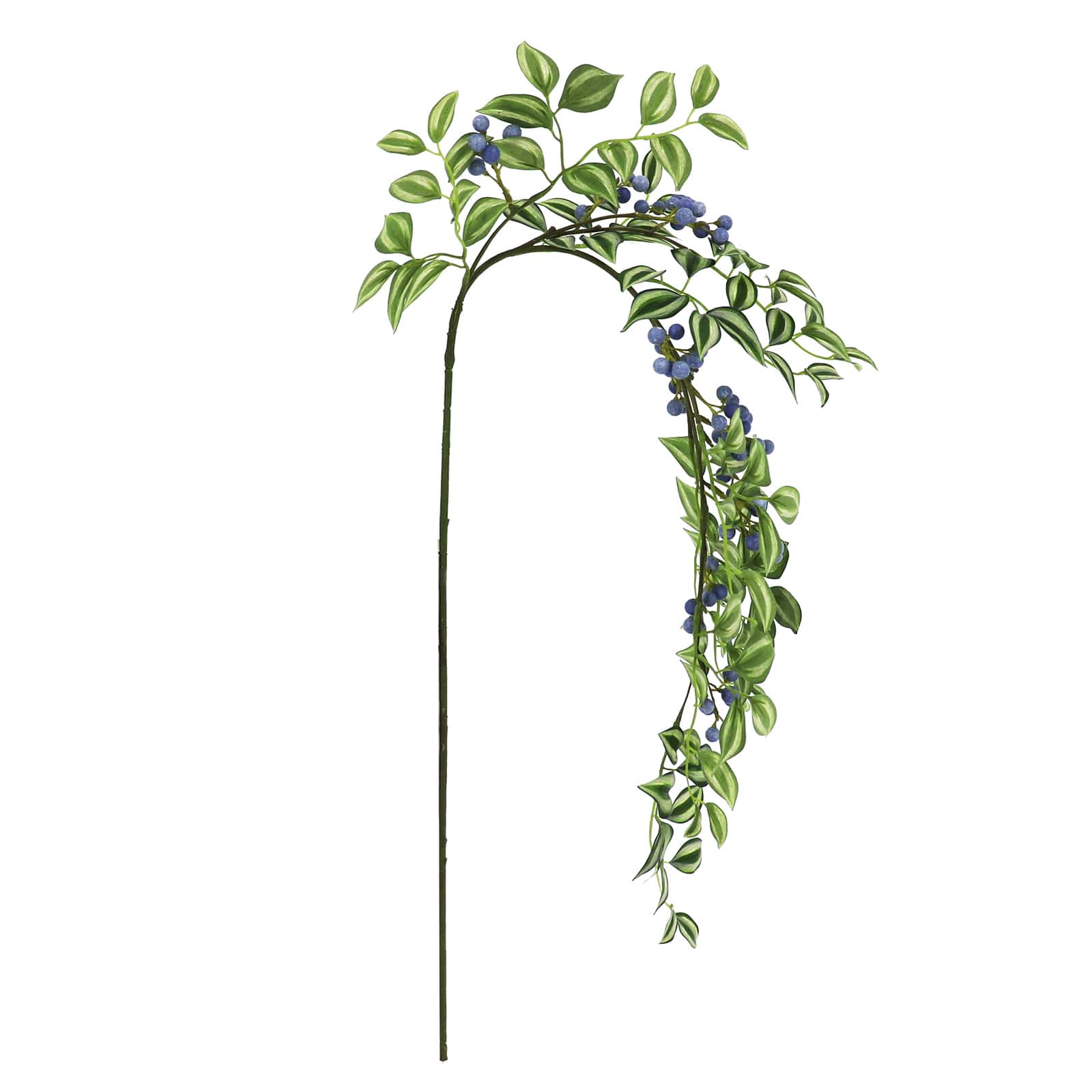 24" Zebrina Leaf Stem with Blue Berries by Ashland®