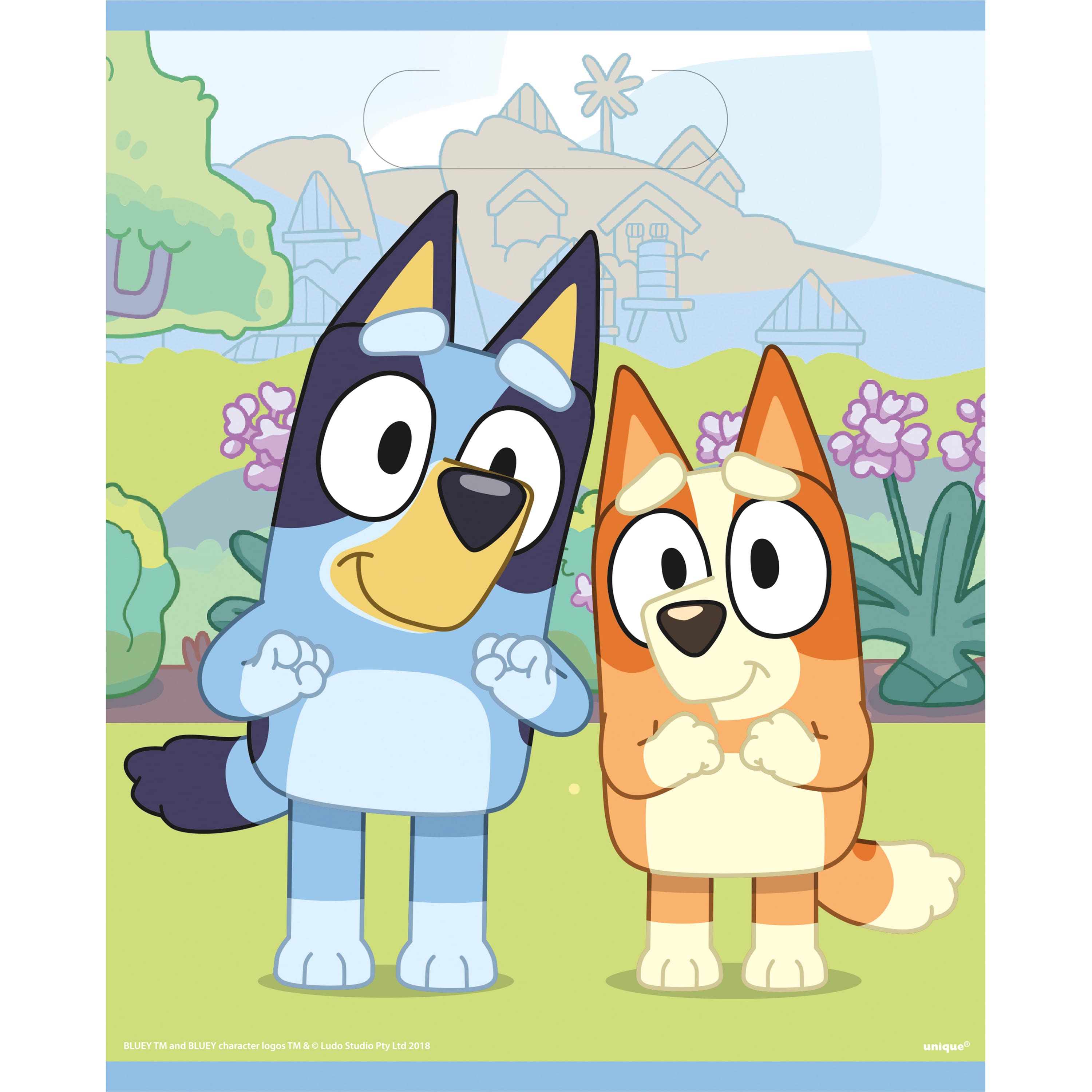 Bluey Loot Bags, 8ct.