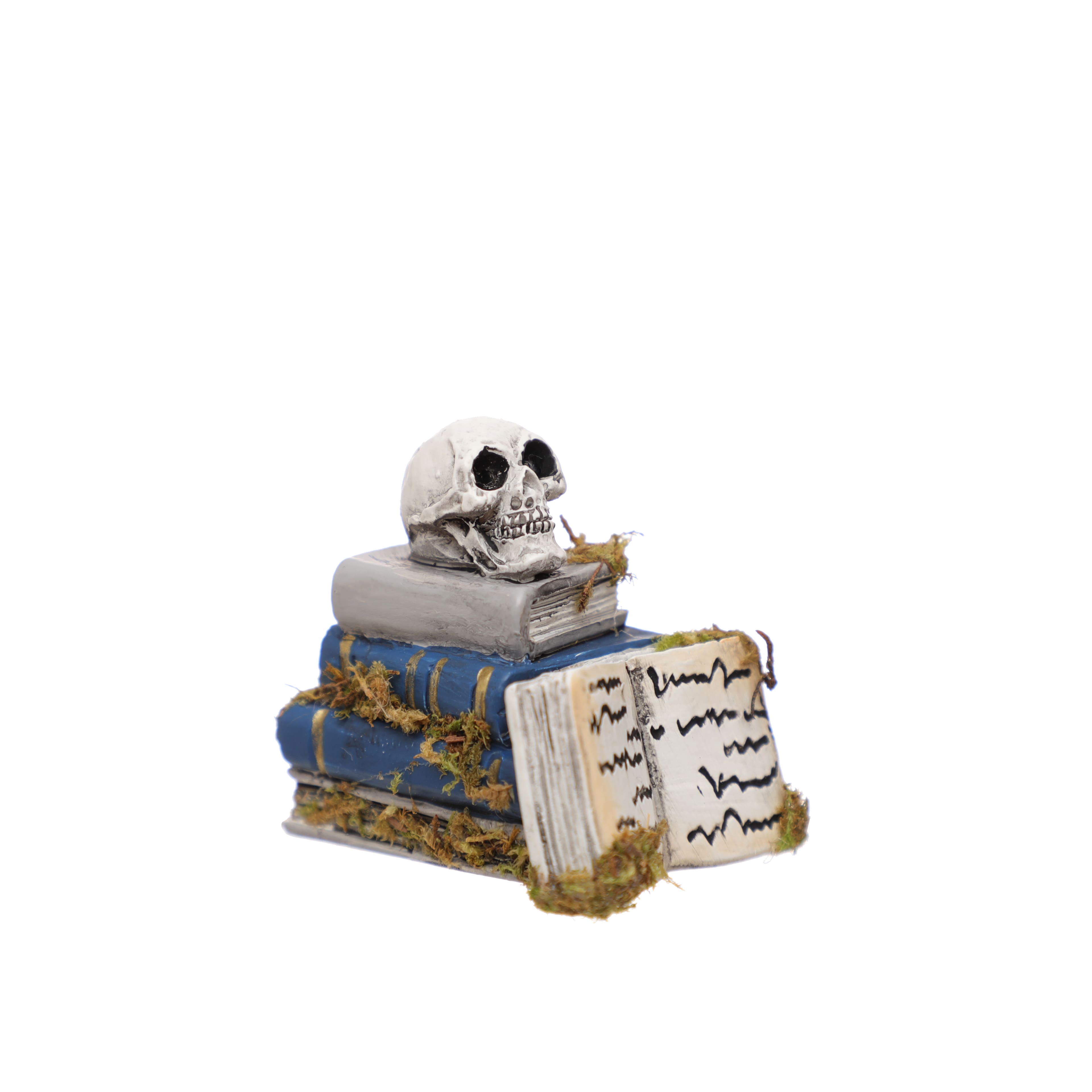 Mini Skull on Book by Ashland®