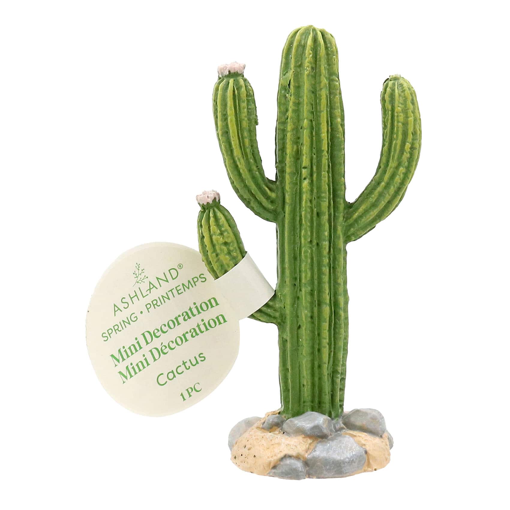 Mini Cactus Decoration by Ashland® - Image 3