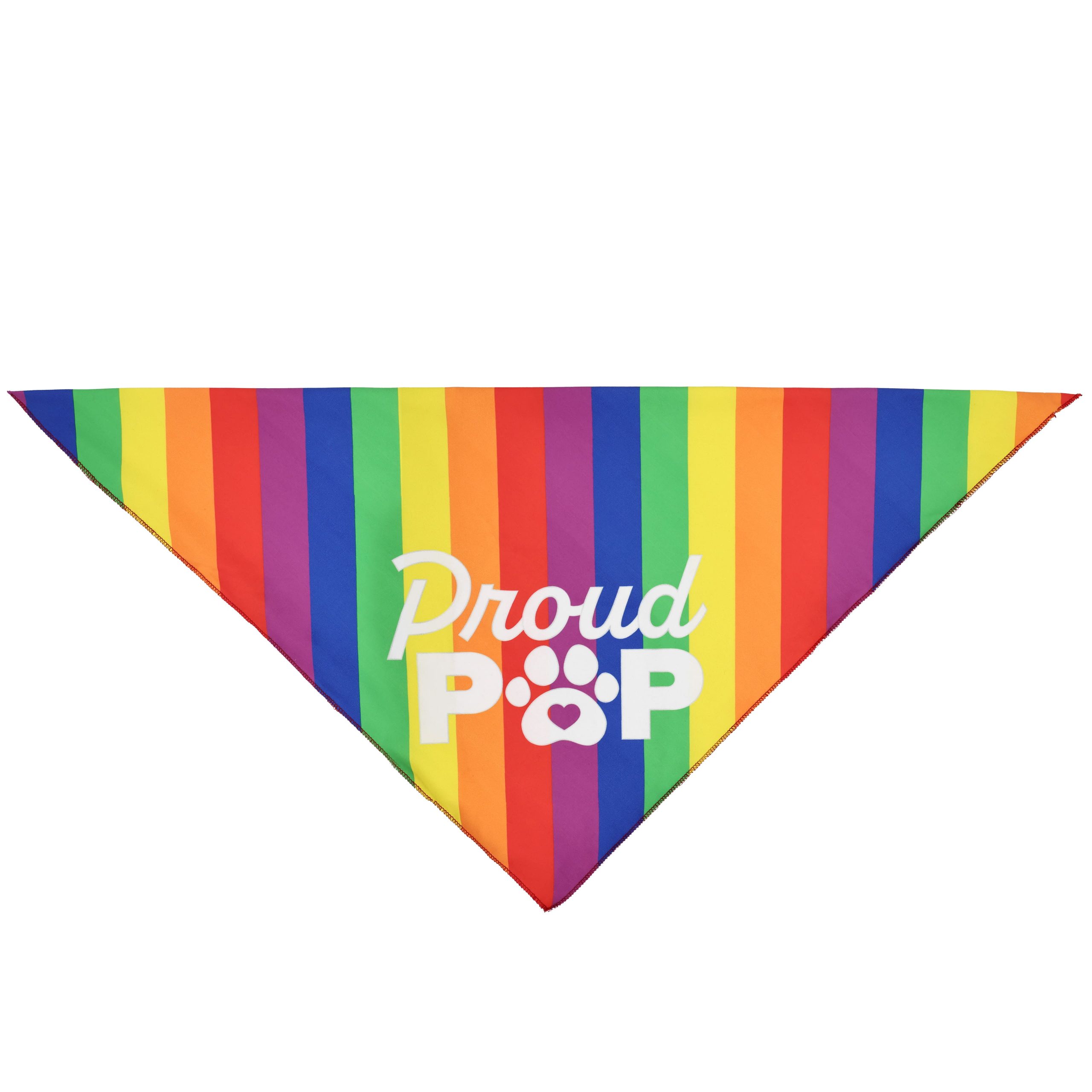 Pride Rainbow Pet Bandana by Celebrate It™