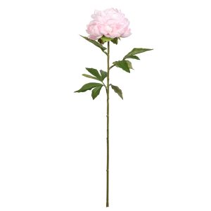 28.5" Pink Peony Stem by Ashland®