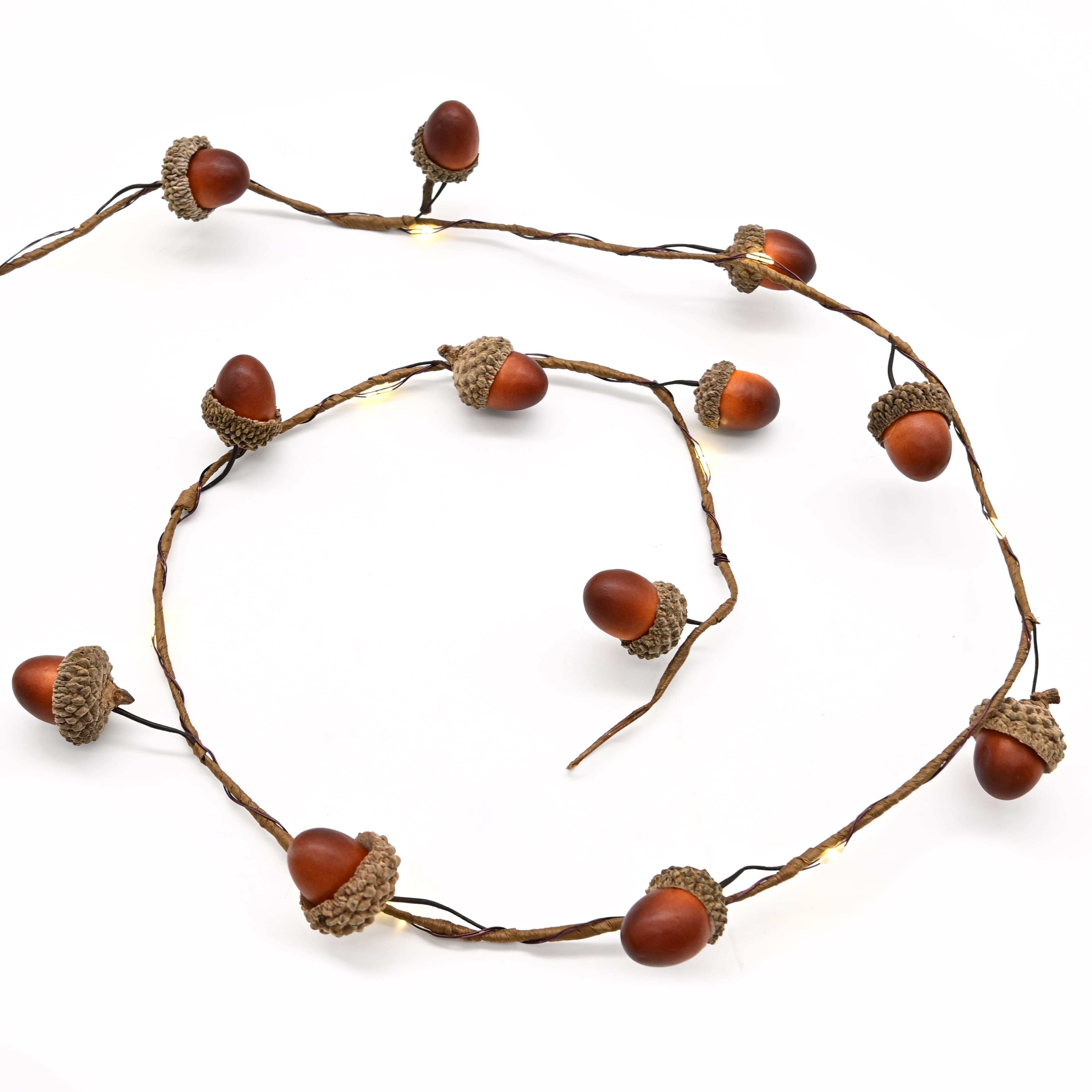 18ct. Acorns LED String Lights by Ashland®