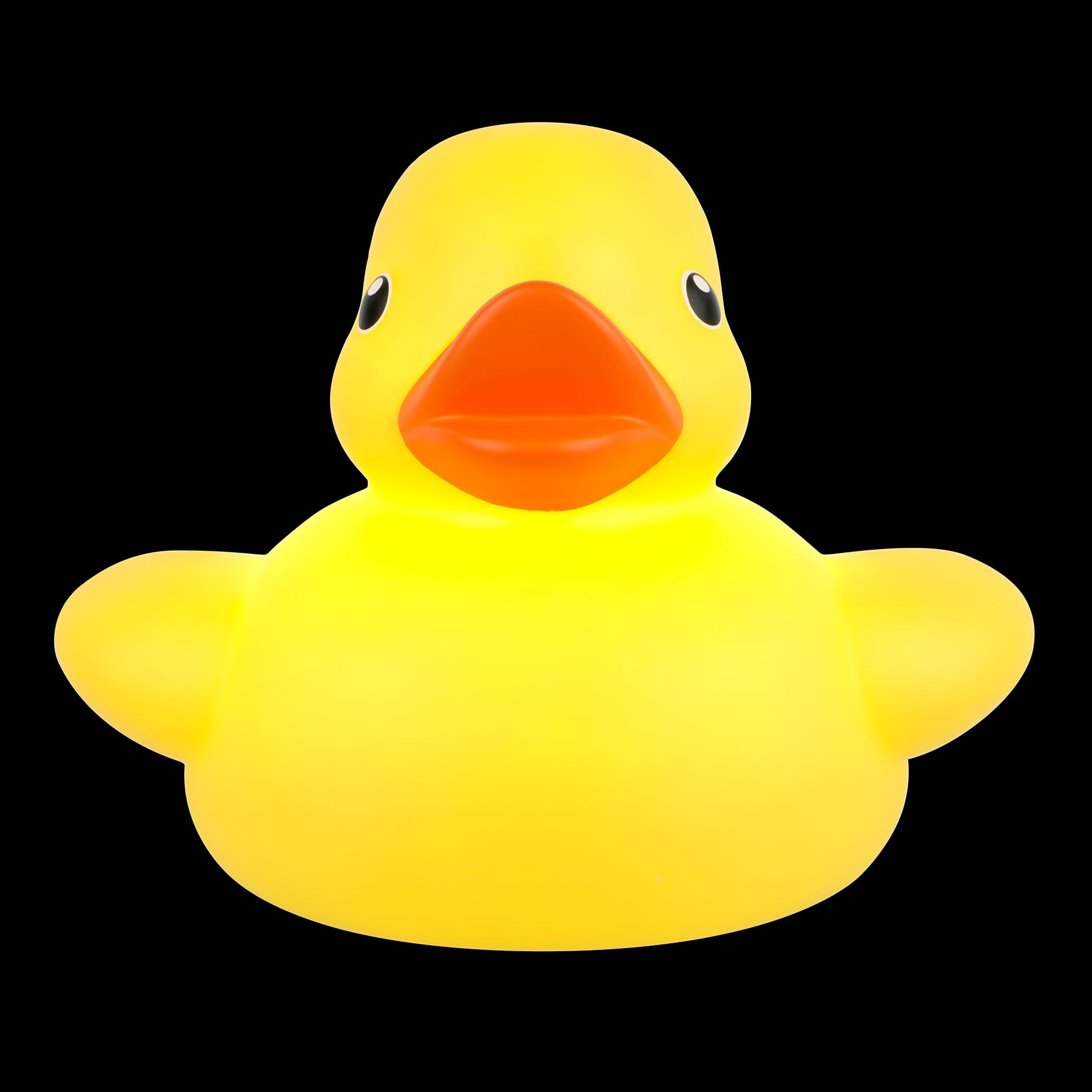 Floating Duck Light by Ashland®