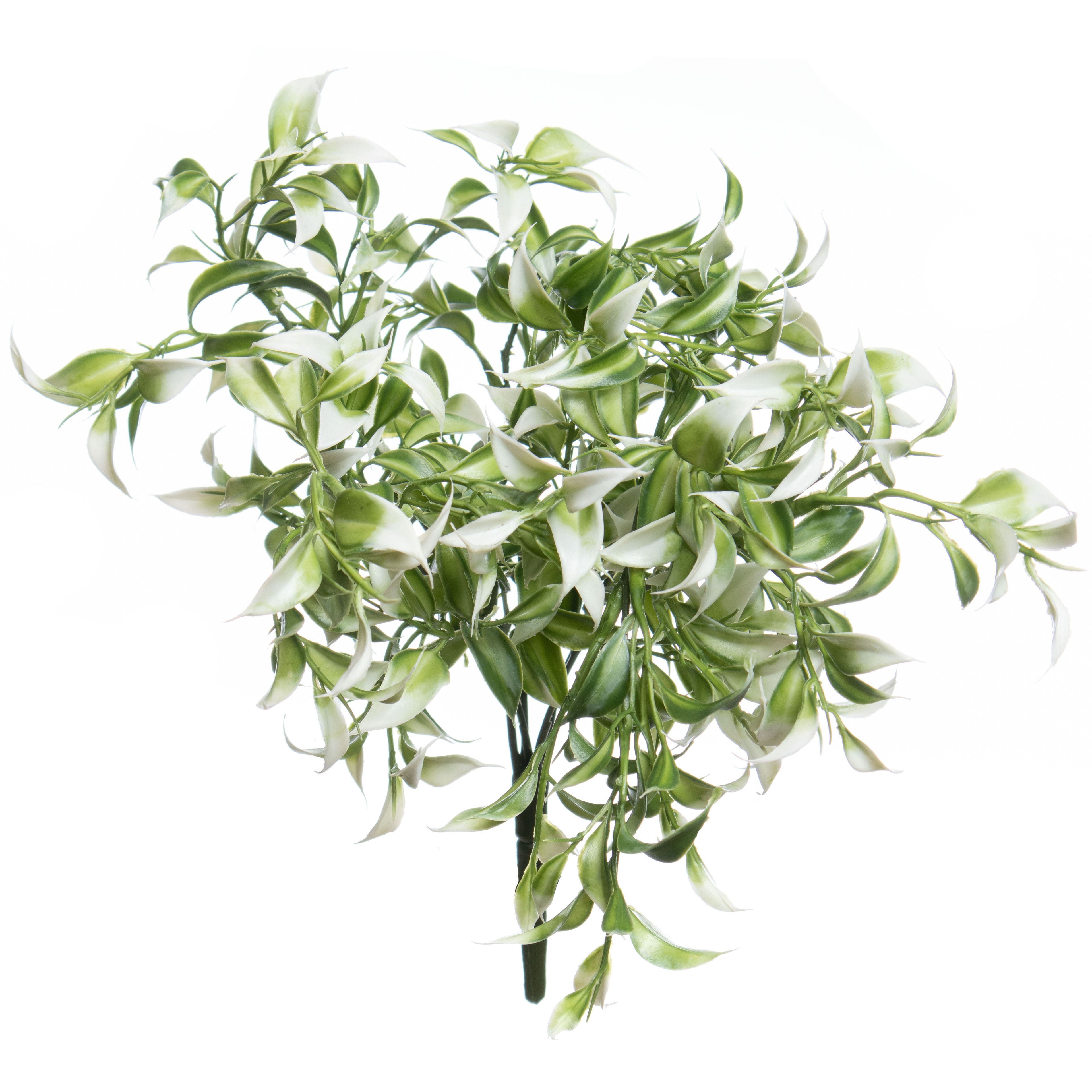 13" Ruscus Bush by Ashland®