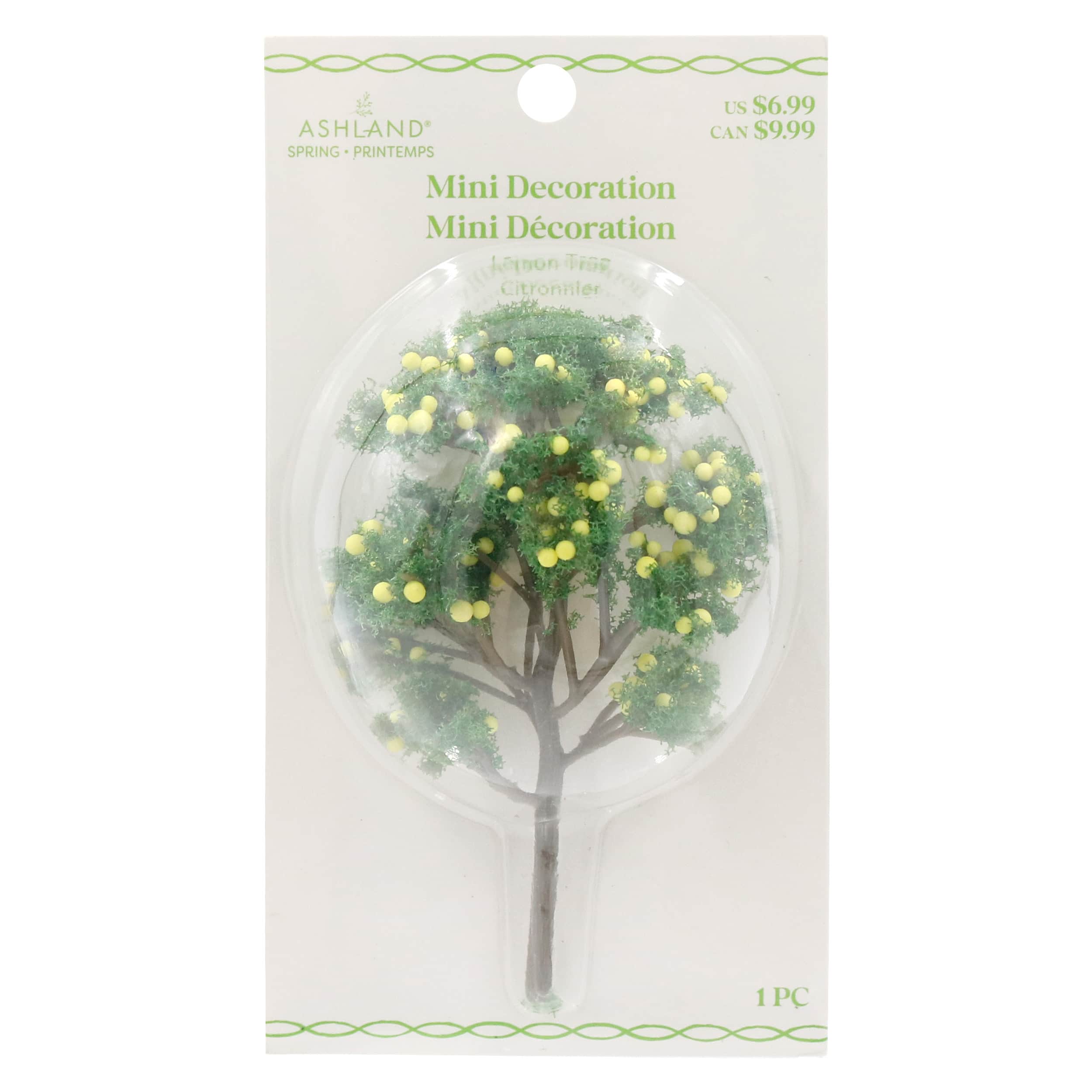 Mini Lemon Tree by Ashland®