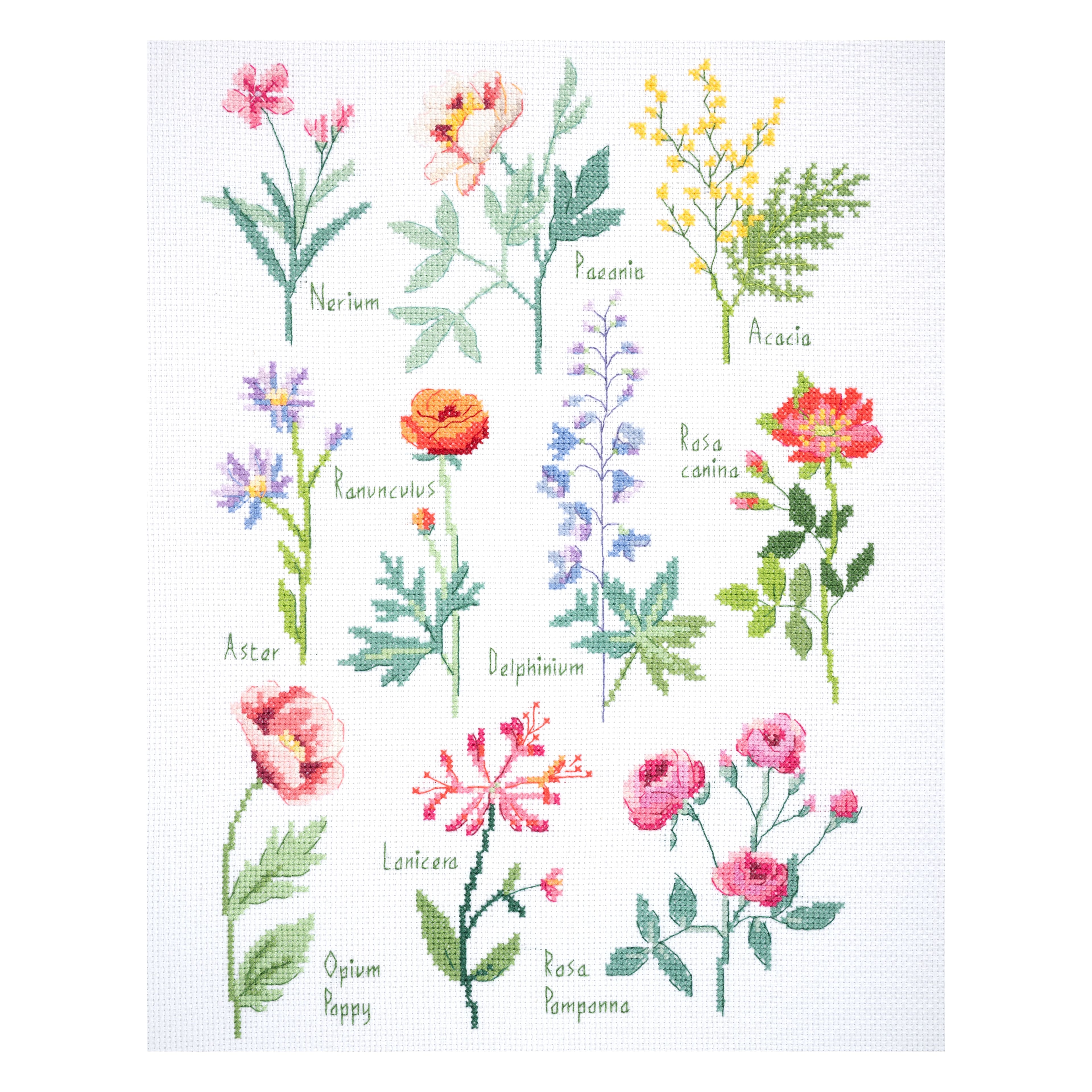DMC® Botanical Sampler Designer Collection Intermediate Cross Stitch Kit