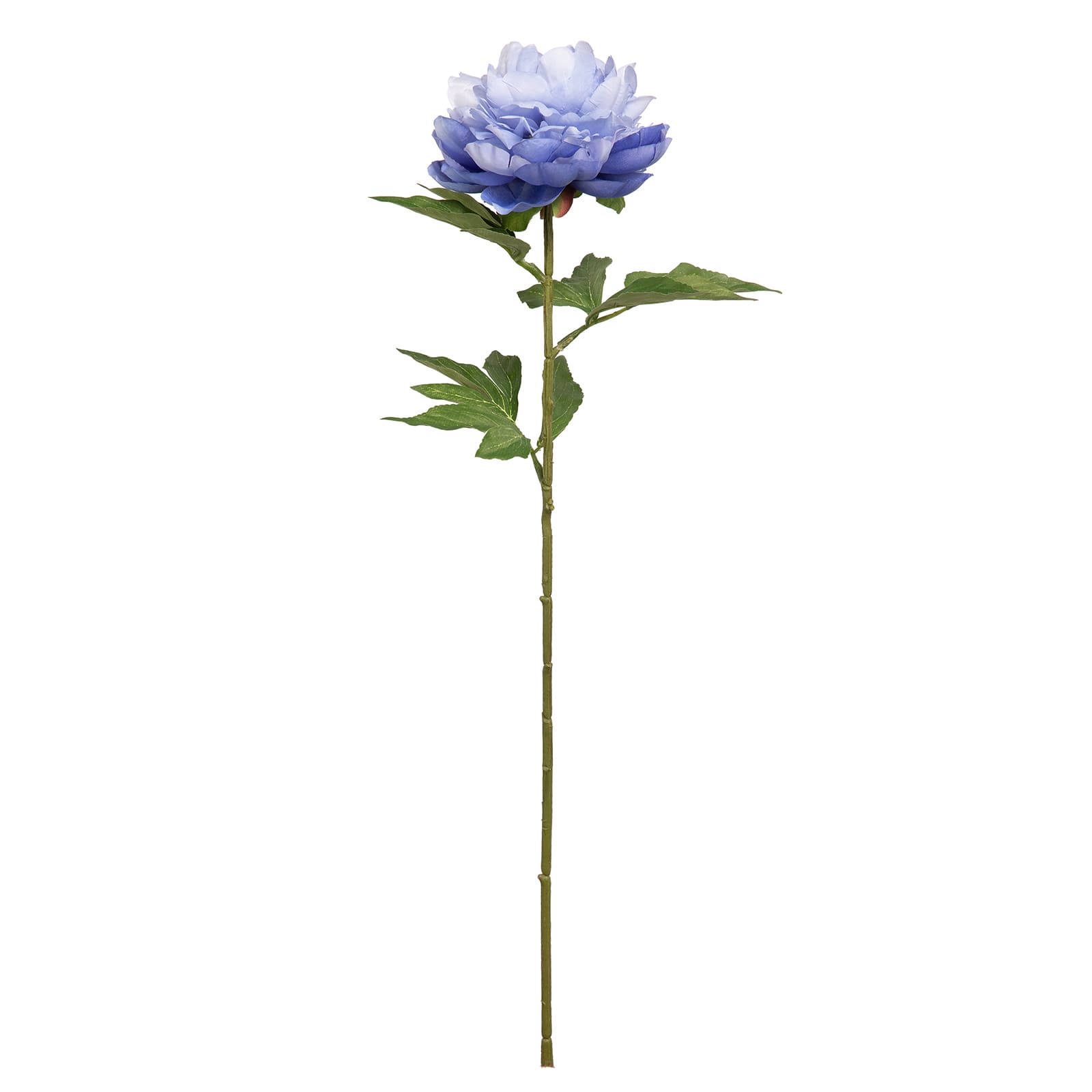 28.5" Blue Peony Stem by Ashland®